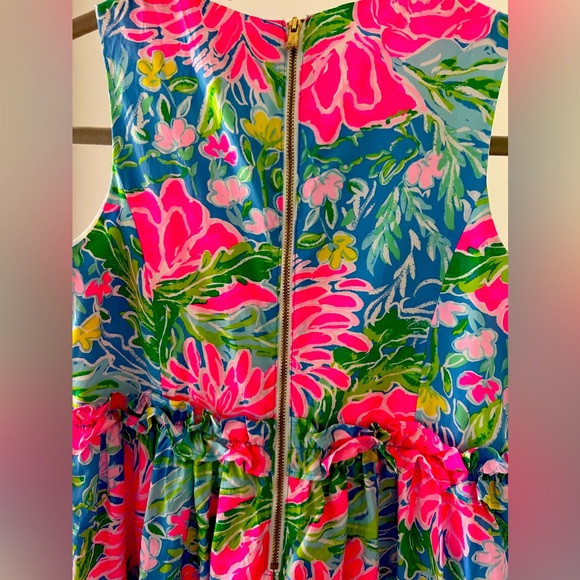 Lilly Pulitzer Dress - Picture 3 of 3